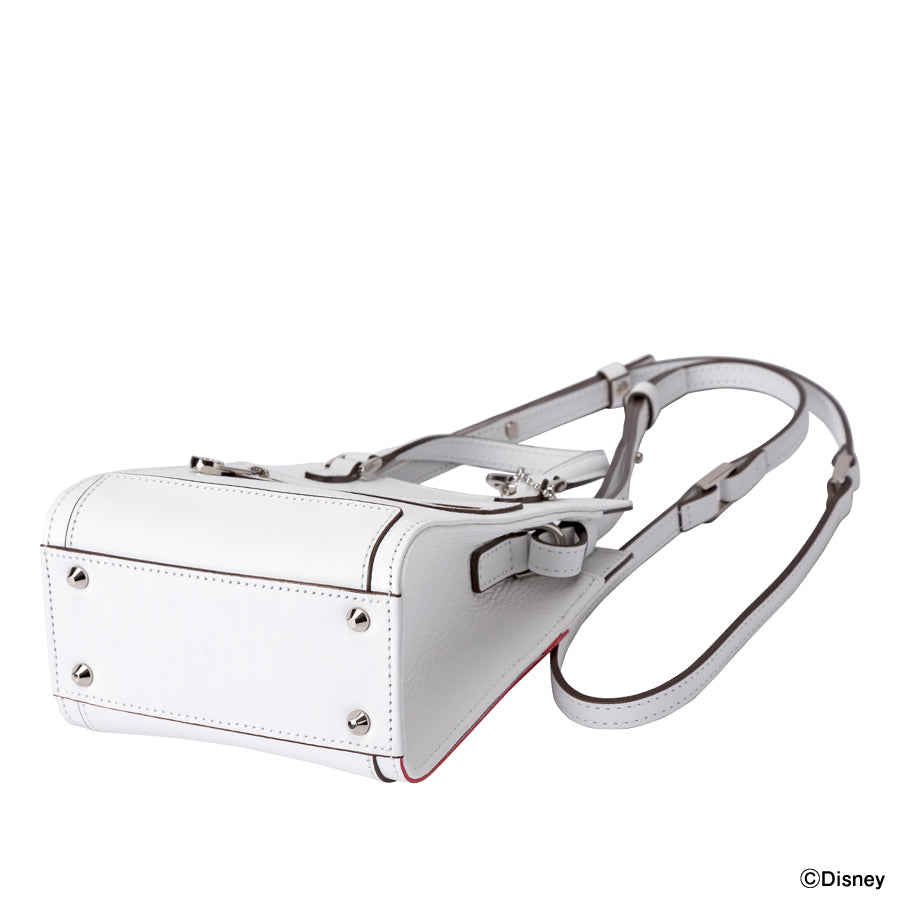 【セール】Disney Collection SQUARE MINI SHOULDER CJDG-006